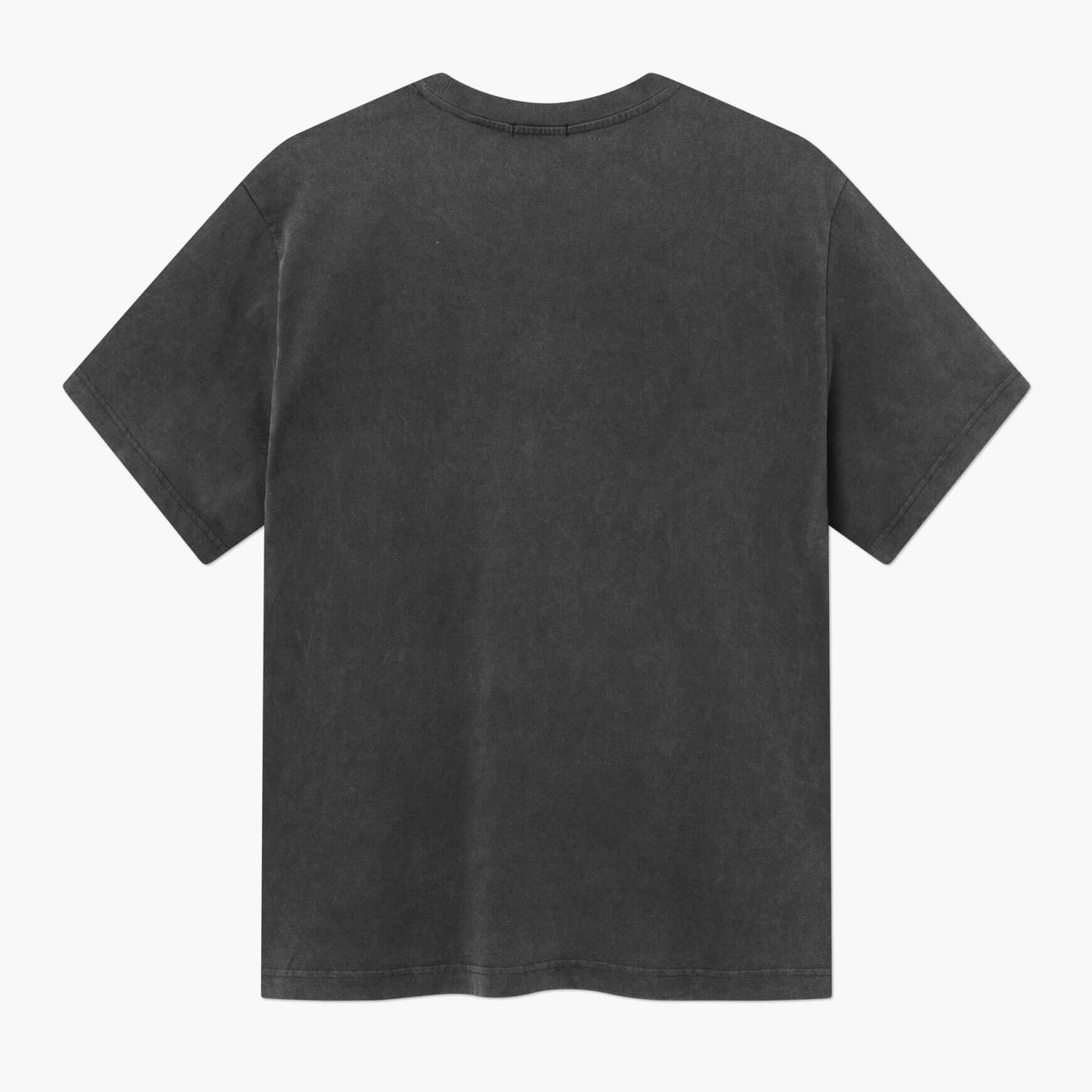 Regular Fit Geo Logo T-Shirt Black Wash